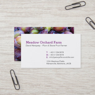 Producteur de prunes cartes de visite