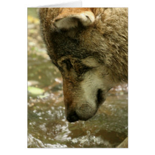 Produit de personnaliser