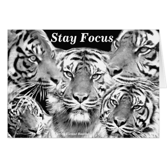 Produit Focus_card (Devant horizontal)