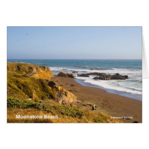 Produits de Cambria la Californie de plage de