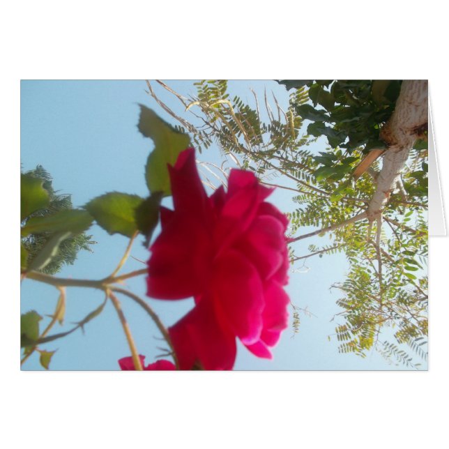 Produkt anpassen (Vorderseite (Horizontal))