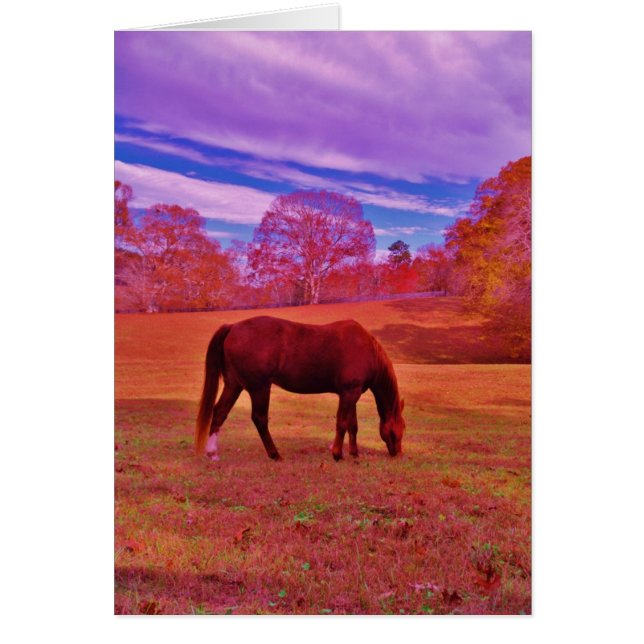 Produkt anpassen (Vorne)