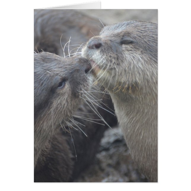 Produkt anpassen (Vorne)