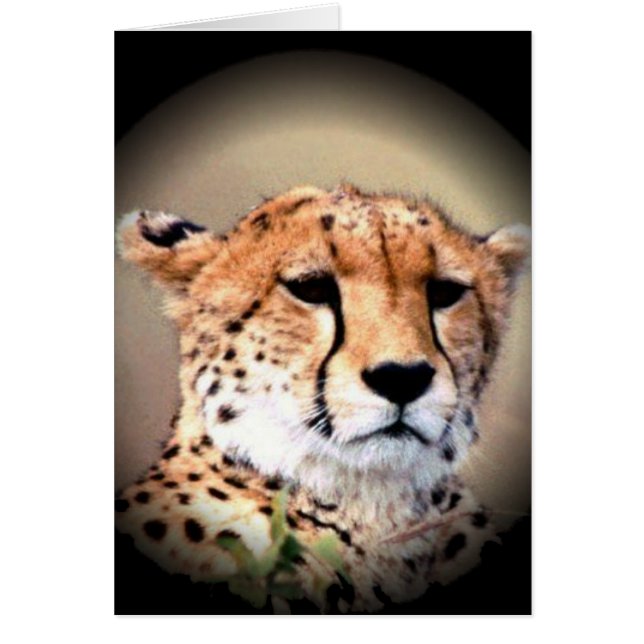 Produkt anpassen (Vorne)