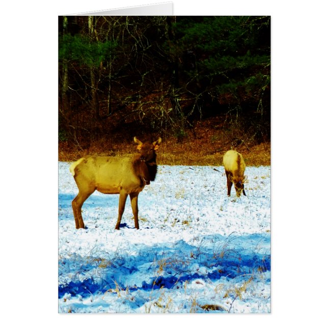 Produkt anpassen (Vorne)