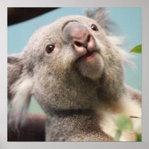 Produkt anpassen poster