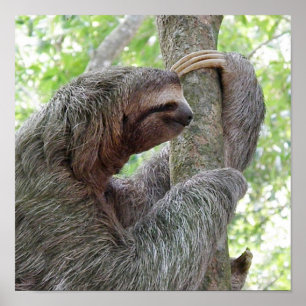 Produkt anpassen poster