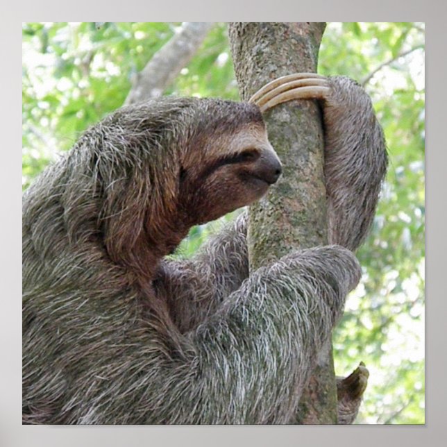 Produkt anpassen poster (Vorne)