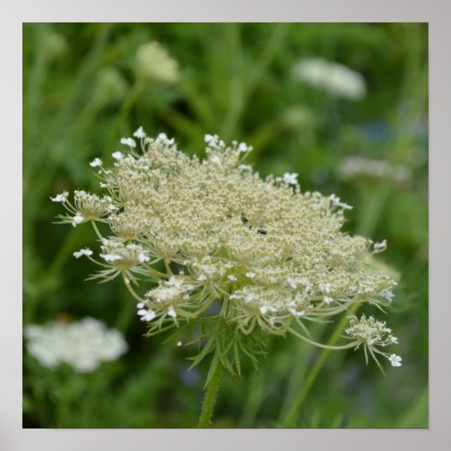 Produkt anpassen poster (Vorne)