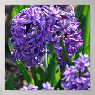 Produkt anpassen poster