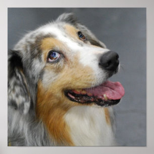 Produkt anpassen poster