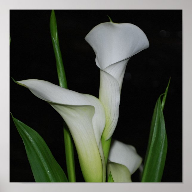 Produkt anpassen poster (Vorne)