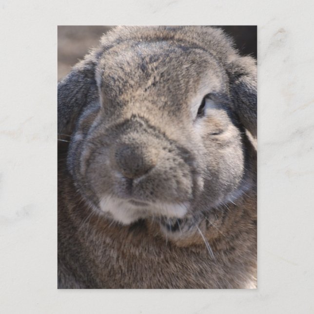 Produkt anpassen postkarte (Vorderseite)