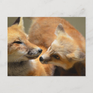 Produkt anpassen postkarte