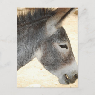Produkt anpassen postkarte