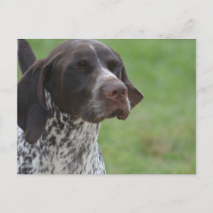 Produkt anpassen postkarte