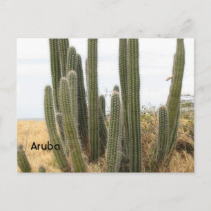 Produkt anpassen postkarte