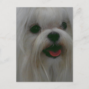 Produkt anpassen postkarte