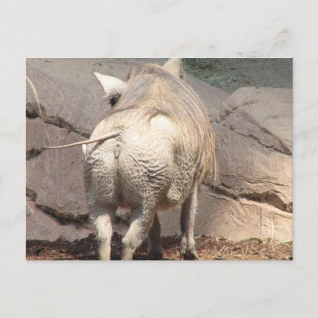 Produkt anpassen postkarte (Vorderseite)