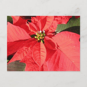 Produkt anpassen postkarte