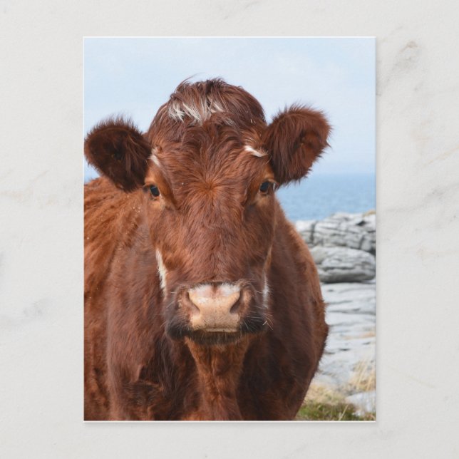 Produkt anpassen postkarte (Vorderseite)