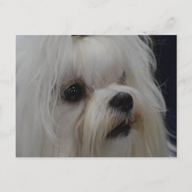 Produkt anpassen postkarte (Vorderseite)