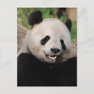 Produkt anpassen postkarte