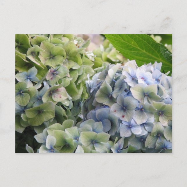 Produkt anpassen postkarte (Vorderseite)