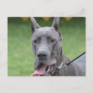 Produkt anpassen postkarte