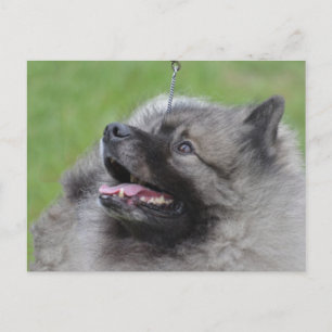 Produkt anpassen postkarte