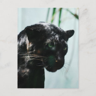 Produkt anpassen postkarte