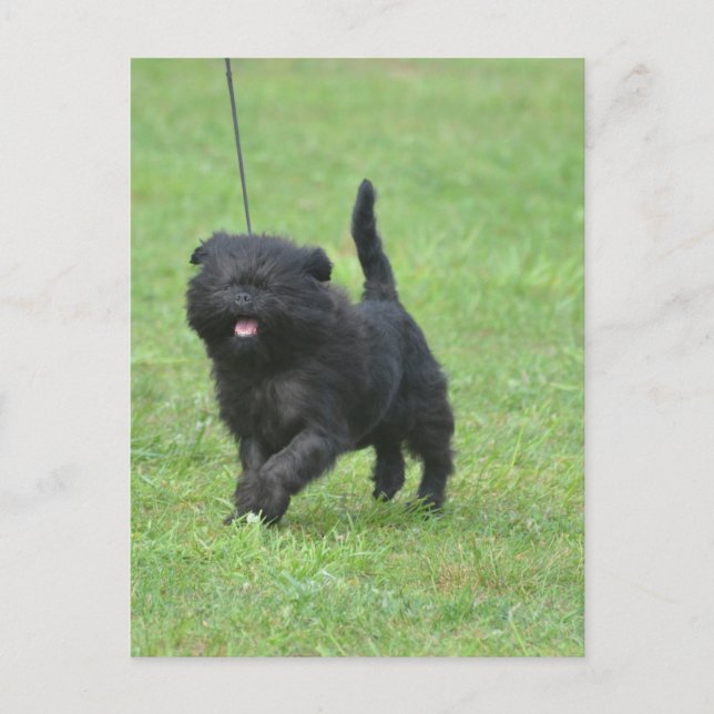 Produkt anpassen postkarte (Vorderseite)