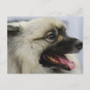 Produkt anpassen postkarte