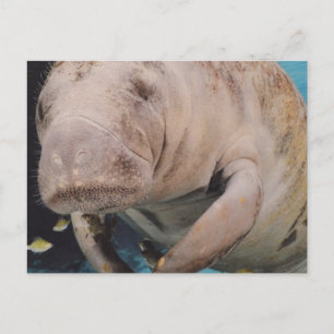 Produkt anpassen postkarte