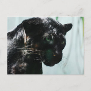 Produkt anpassen postkarte