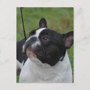 Produkt anpassen postkarte