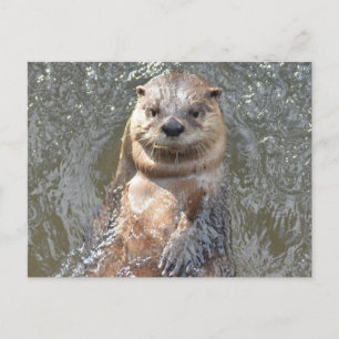 Produkt anpassen postkarte