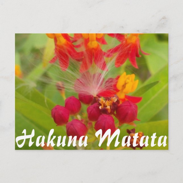 Produkt anpassen postkarte (Vorderseite)