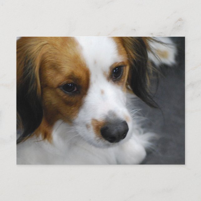 Produkt anpassen postkarte (Vorderseite)