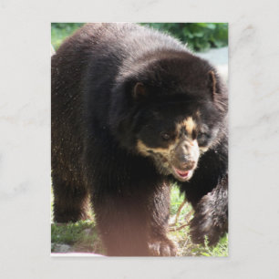 Produkt anpassen postkarte