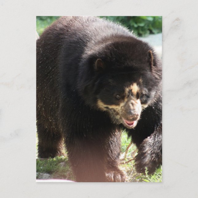 Produkt anpassen postkarte (Vorderseite)