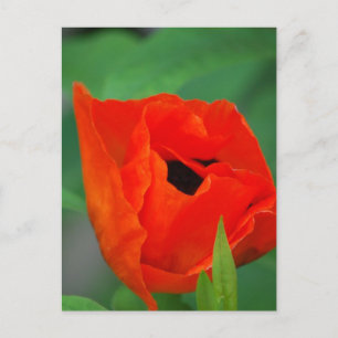 Produkt anpassen postkarte