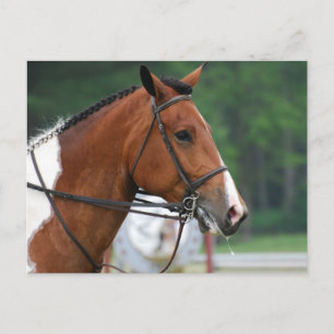 Produkt anpassen postkarte