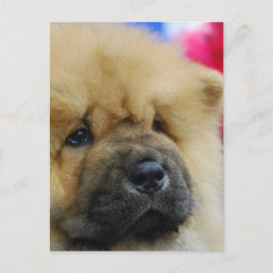 Produkt anpassen postkarte