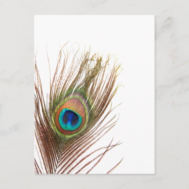 Produkt anpassen postkarte (Vorderseite)