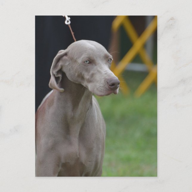 Produkt anpassen postkarte (Vorderseite)