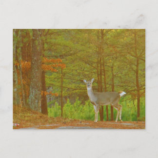 Produkt anpassen postkarte