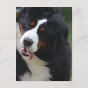 Produkt anpassen postkarte