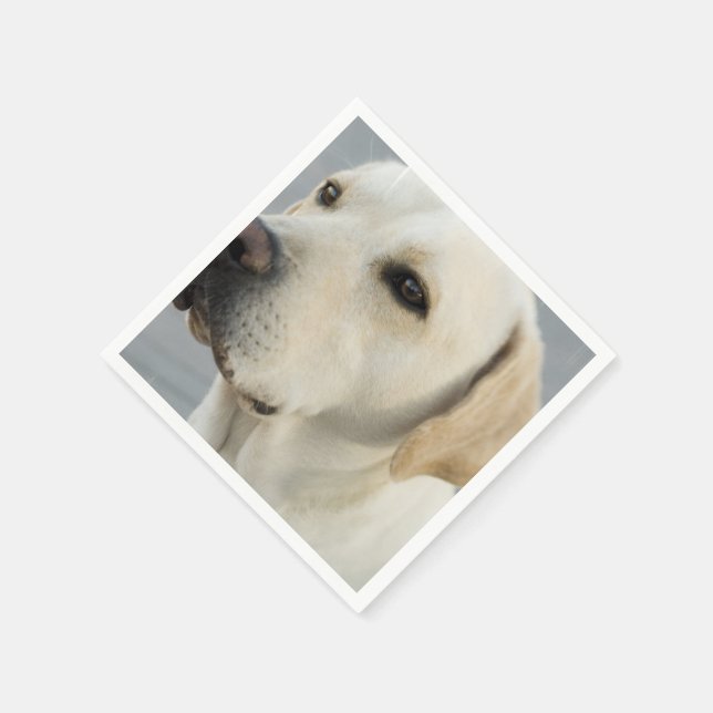 Produkt anpassen serviette (Ecke)