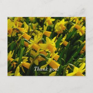Produktfamilie Danke Postcard Postkarte
